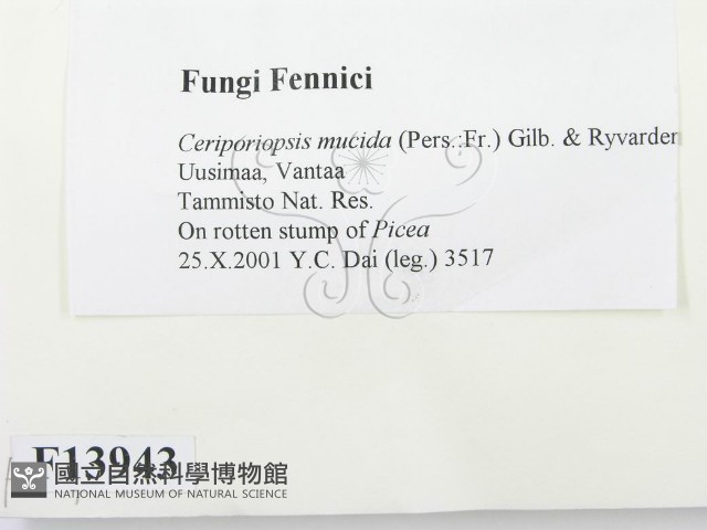 登錄號:F0013943藏品圖，第2張