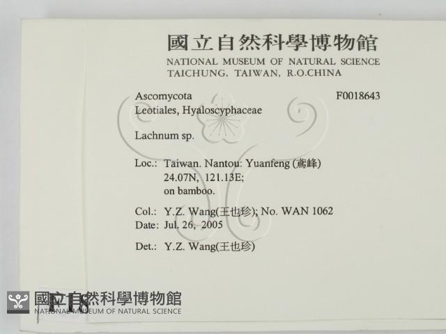 登錄號:F0018643藏品圖，第2張