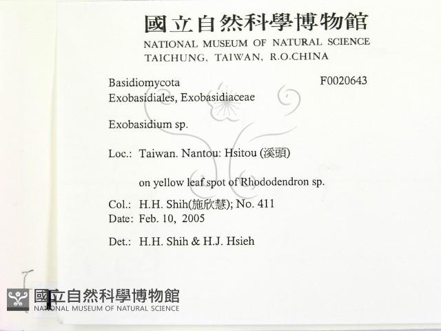 館號:F0020643藏品圖，第2張