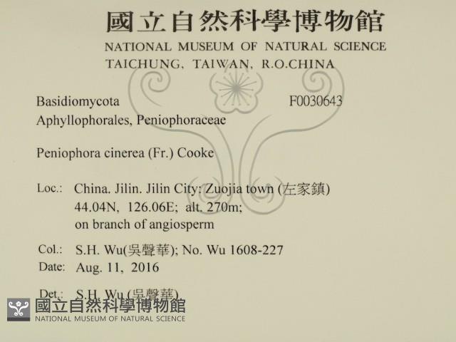 登錄號:F0030643藏品圖，第2張