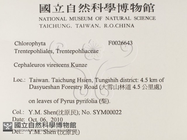 登錄號:F0026643藏品圖，第2張