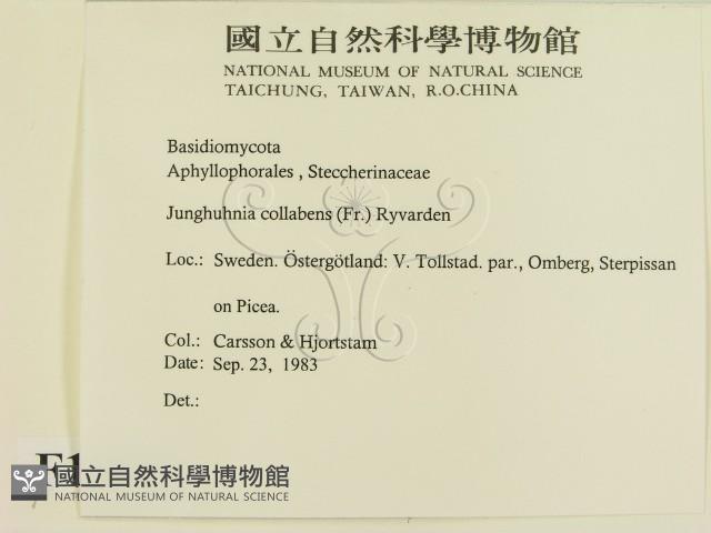 登錄號:F0016643藏品圖，第2張