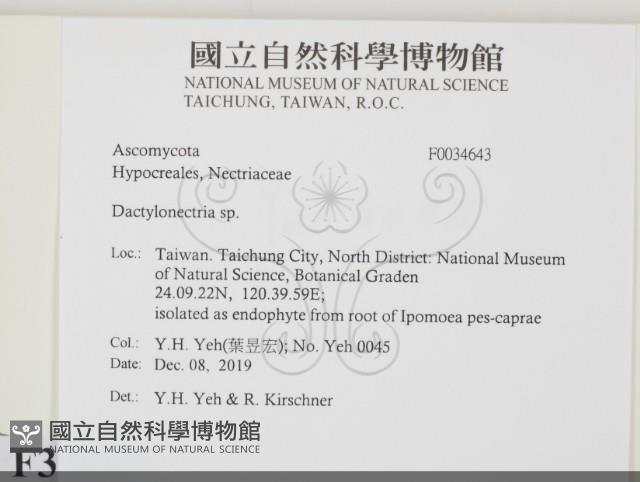 登錄號:F0034643藏品圖，第2張