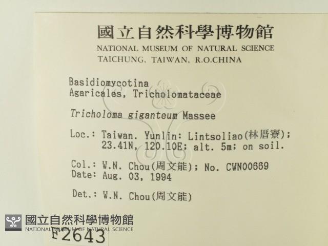 登錄號:F0002643藏品圖，第2張