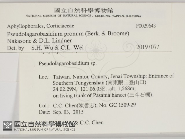 登錄號:F0029643藏品圖，第2張