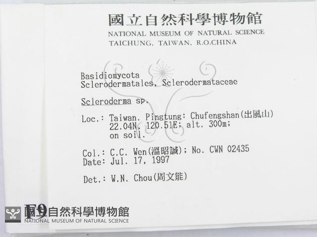 登錄號:F0009643藏品圖，第2張