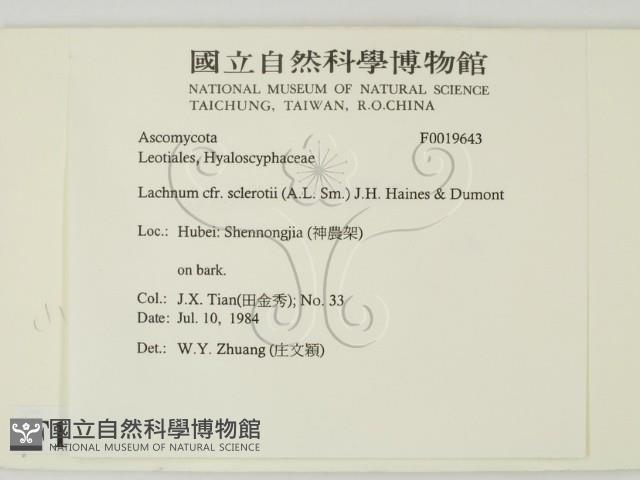 登錄號:F0019643藏品圖，第2張
