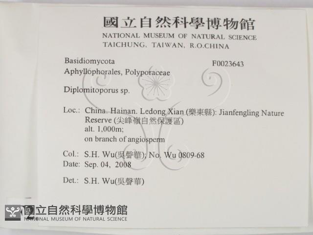 登錄號:F0023643藏品圖，第2張