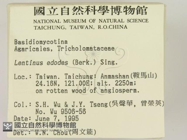 登錄號:F0003643藏品圖，第2張