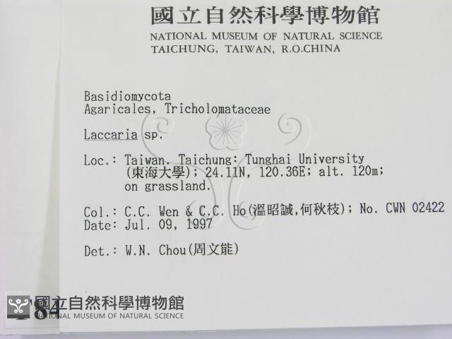 登錄號:F0008443藏品圖，第2張