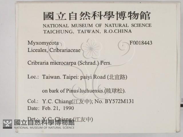 登錄號:F0018443藏品圖，第2張