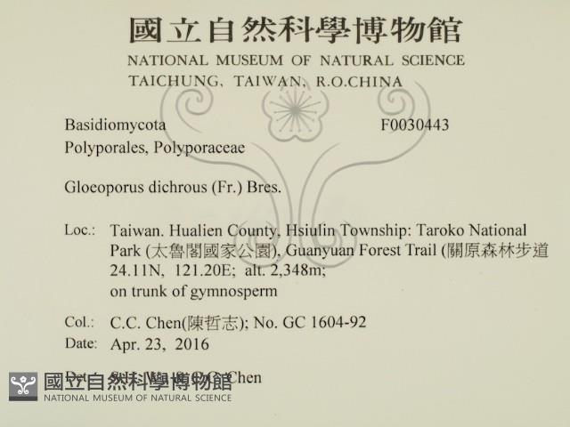 登錄號:F0030443藏品圖，第2張