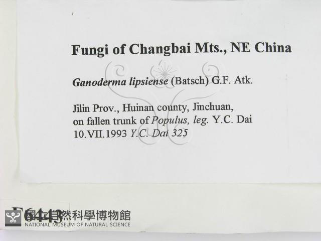 登錄號:F0006443藏品圖，第2張