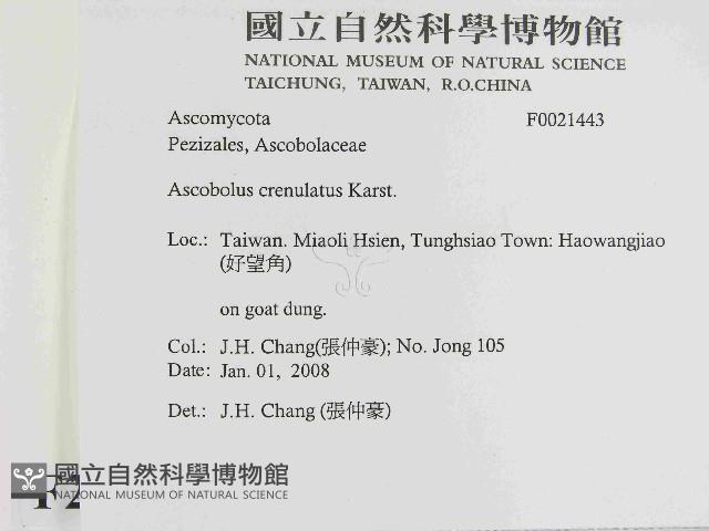 登錄號:F0021443藏品圖，第2張