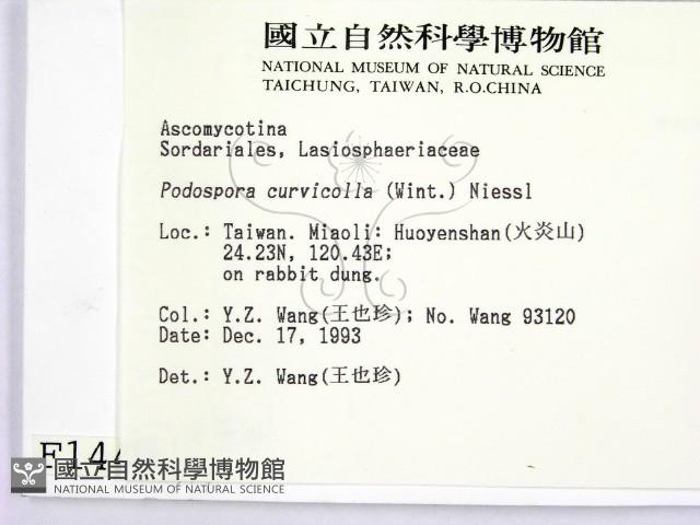 登錄號:F0001443藏品圖，第2張