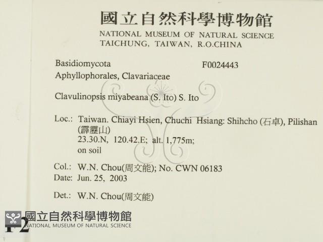 登錄號:F0024443藏品圖，第2張