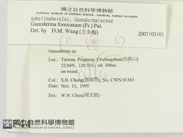 登錄號:F0004443藏品圖，第2張