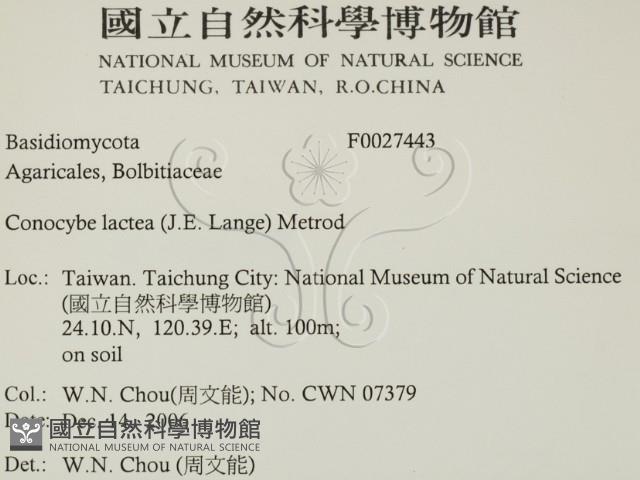 登錄號:F0027443藏品圖，第2張