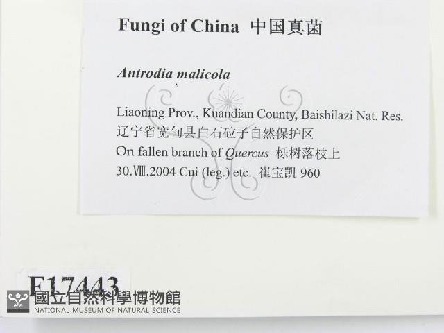 登錄號:F0017443藏品圖，第2張