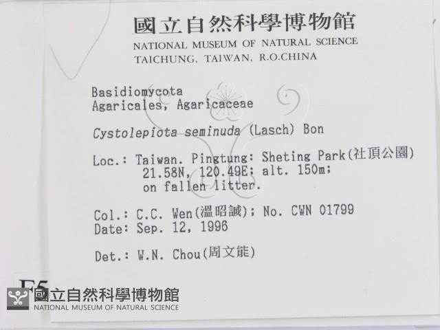 登錄號:F0005443藏品圖，第2張