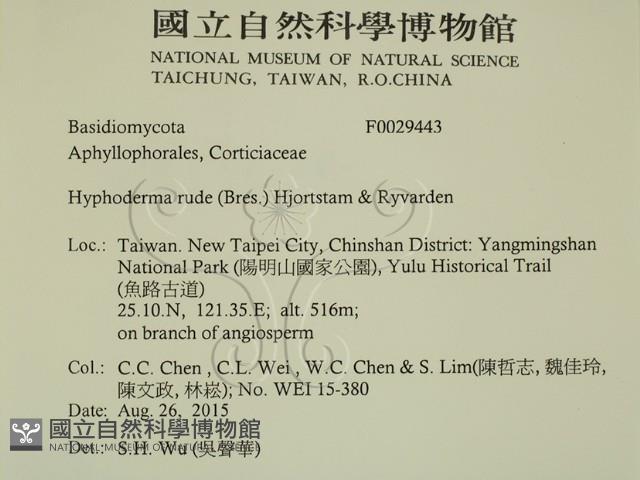 登錄號:F0029443藏品圖，第2張