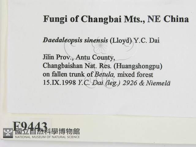 登錄號:F0009443藏品圖，第2張