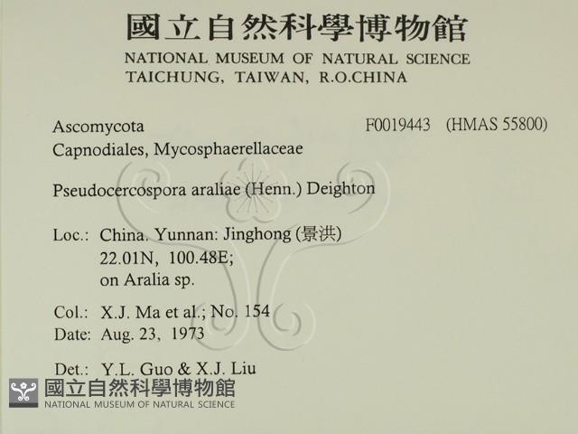 登錄號:F0019443藏品圖，第2張