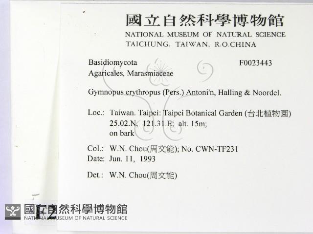 登錄號:F0023443藏品圖，第2張