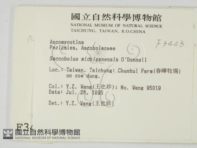 登錄號:F0003443藏品圖，第2張