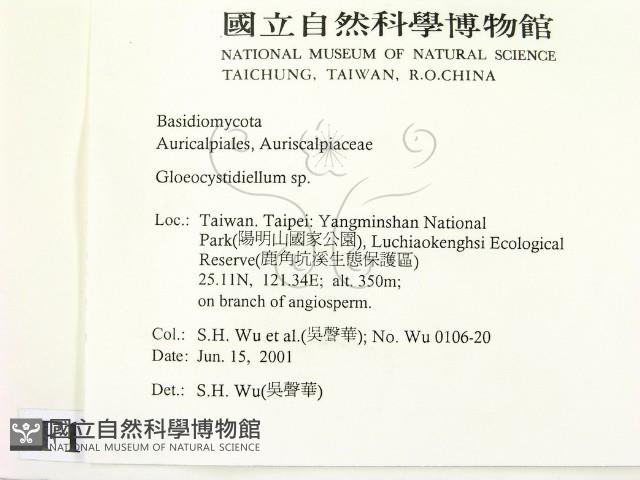 登錄號:F0013443藏品圖，第2張