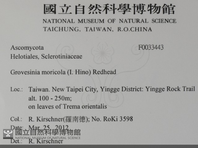 登錄號:F0033443藏品圖，第2張