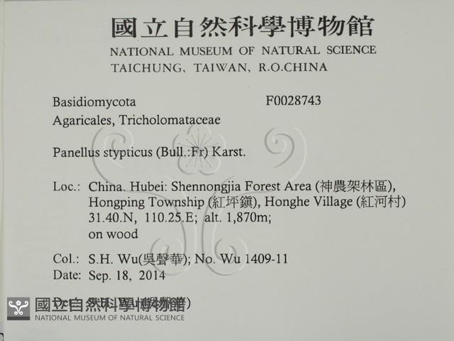 登錄號:F0028743藏品圖，第2張