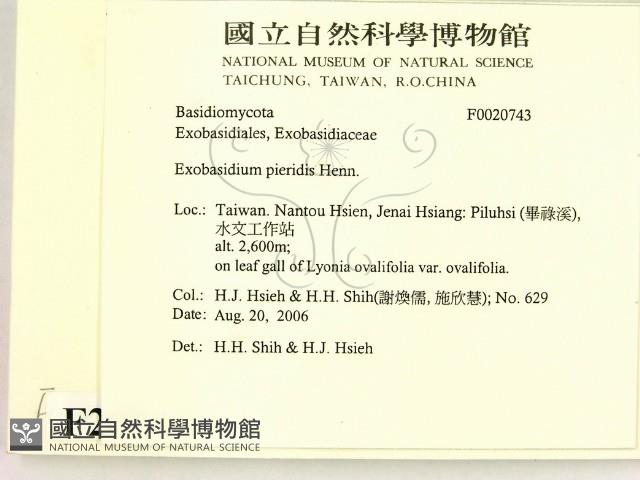 登錄號:F0020743藏品圖，第2張