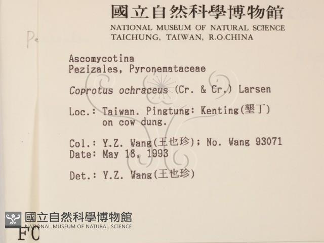 登錄號:F0000743藏品圖，第2張