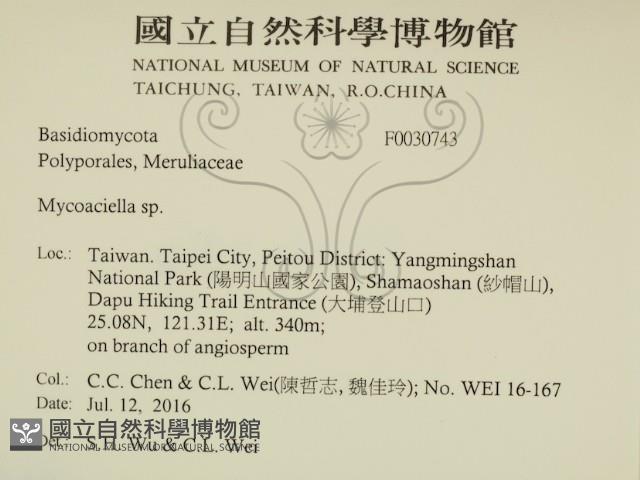 登錄號:F0030743藏品圖，第2張