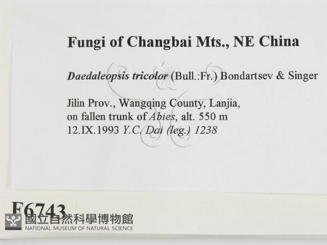 登錄號:F0006743藏品圖，第2張