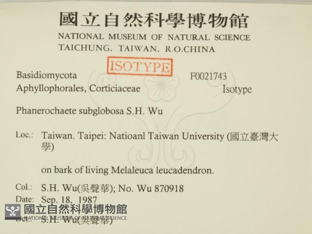 登錄號:F0021743藏品圖，第2張