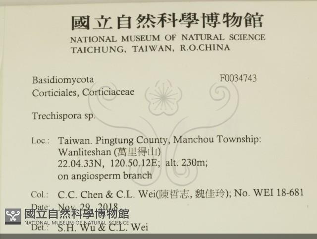 登錄號:F0034743藏品圖，第2張