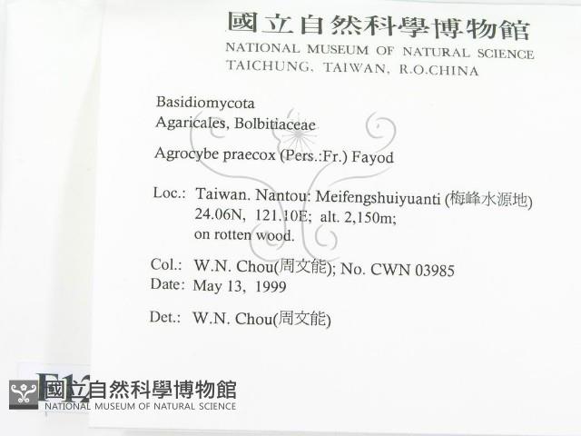 登錄號:F0012743藏品圖，第2張