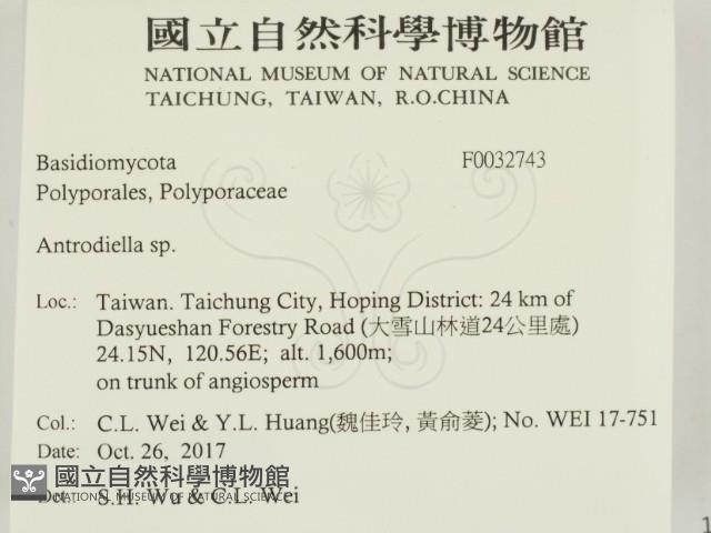 登錄號:F0032743藏品圖，第2張