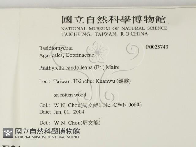 登錄號:F0025743藏品圖，第2張