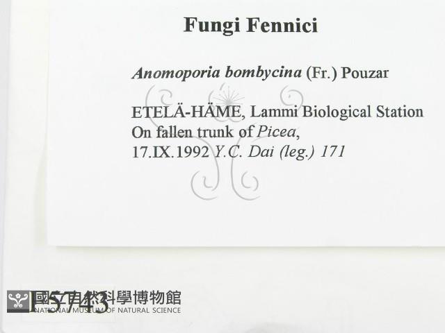 登錄號:F0005743藏品圖，第2張