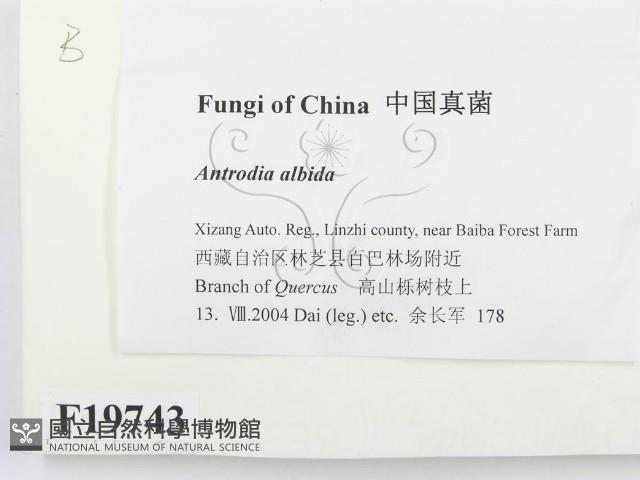 登錄號:F0019743藏品圖，第2張
