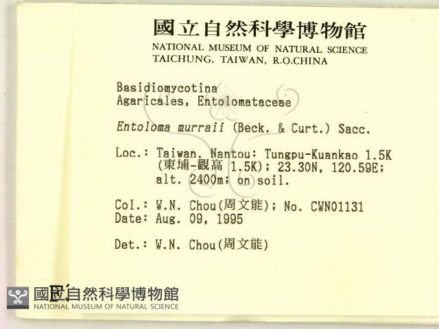 登錄號:F0003743藏品圖，第2張