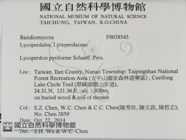 登錄號:F0028543藏品圖，第2張