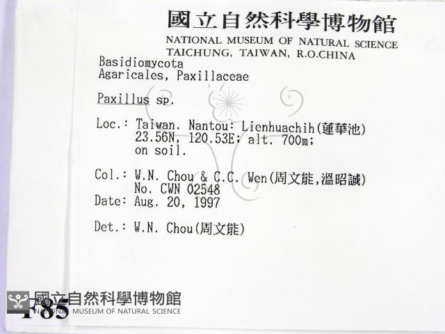 登錄號:F0008543藏品圖，第2張