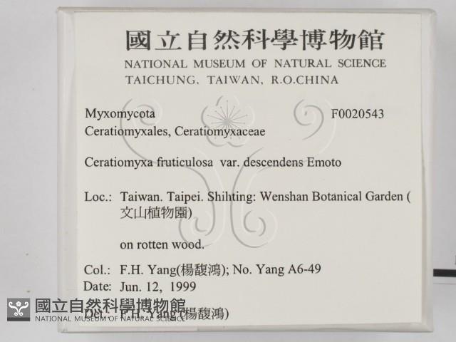登錄號:F0020543藏品圖，第2張
