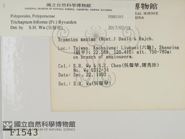 登錄號:F0001543藏品圖，第2張