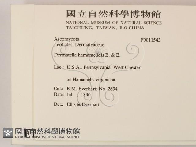 登錄號:F0011543藏品圖，第2張