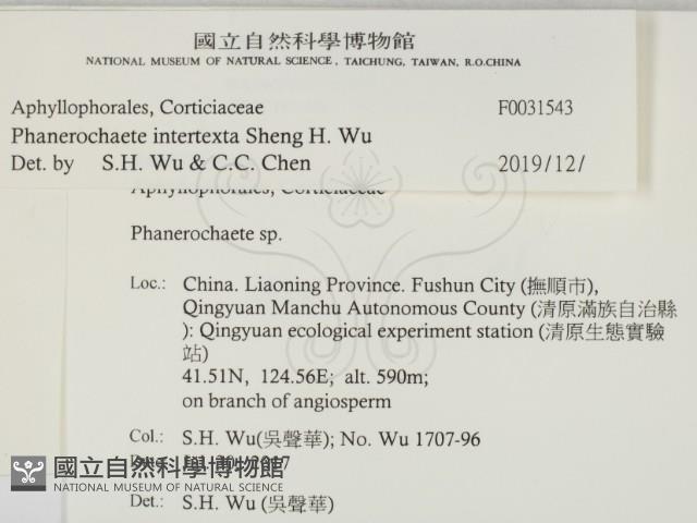 登錄號:F0031543藏品圖，第1張